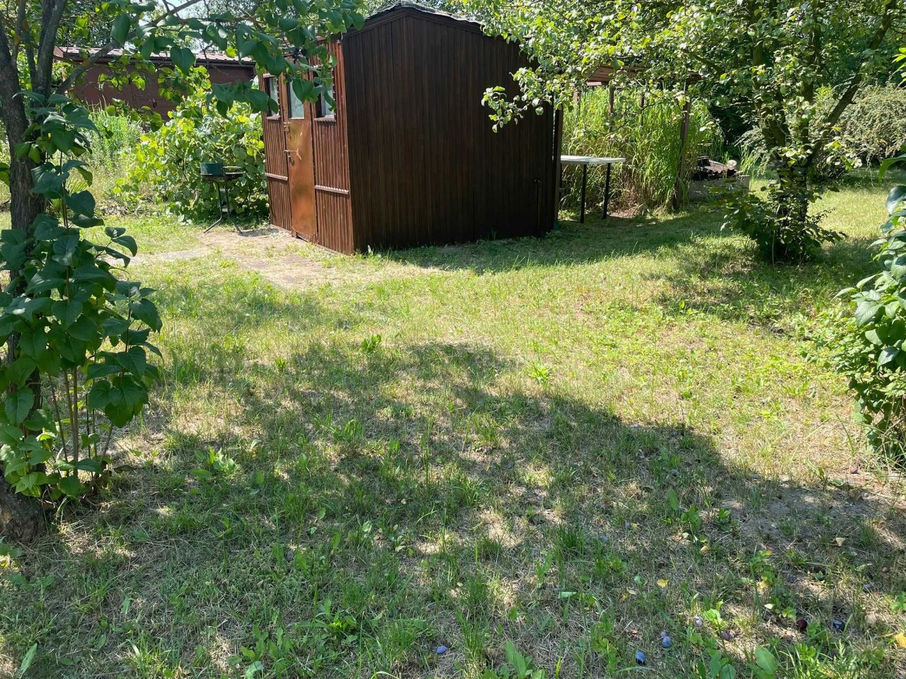 Działka rod Ostrowiec Świętokrzyski, ul. Grabowiecka. Zdjęcie 3