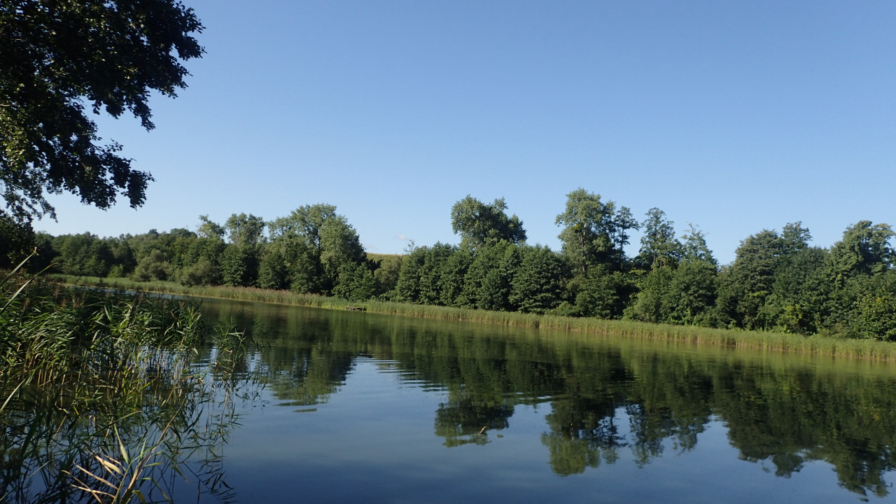Działka budowlana Jarczechowo. Zdjęcie 5