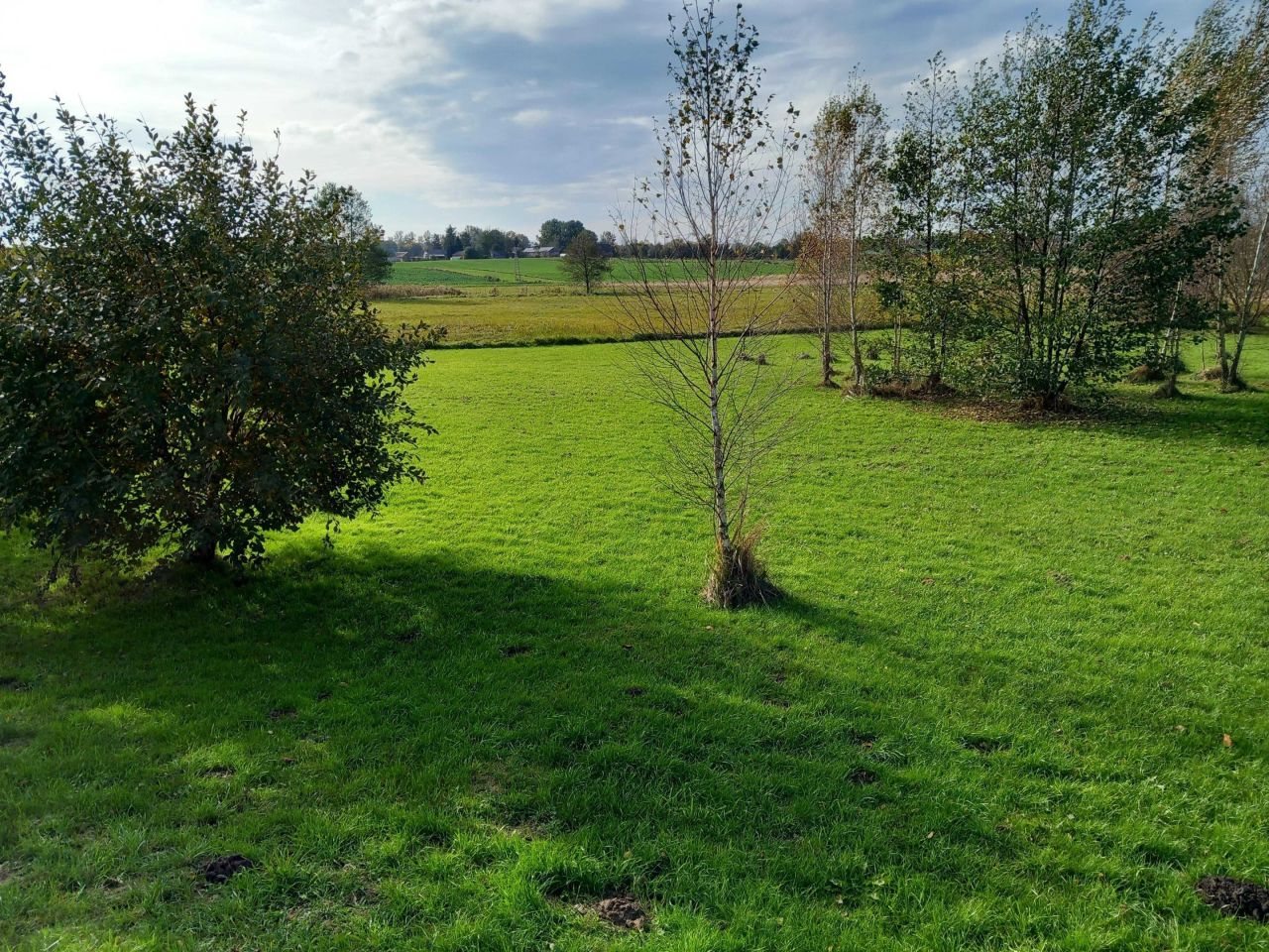 Działka budowlana Wojsławice. Zdjęcie 8