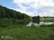 Działka rolno-budowlana Huta-Chojno. Zdjęcie 2