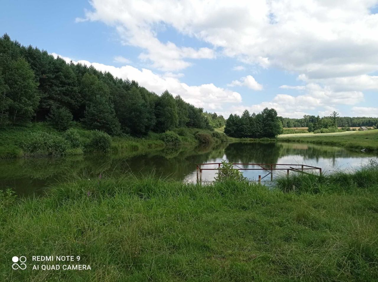 Działka rolno-budowlana Huta-Chojno. Zdjęcie 3
