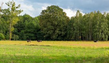 Działka rolno-budowlana Lasek