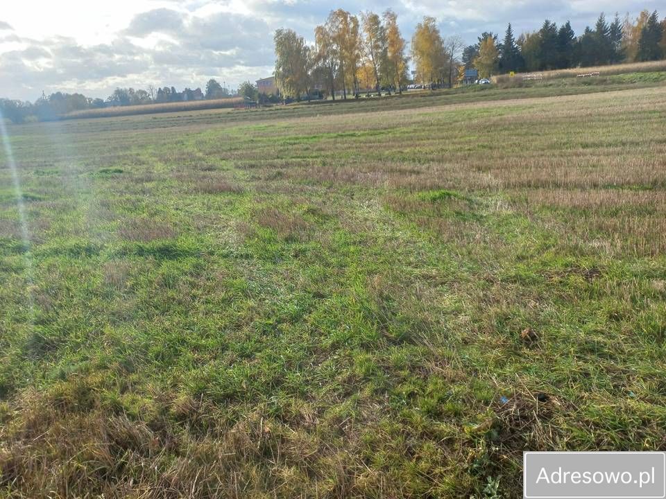 Działka budowlana Koryta. Zdjęcie 4
