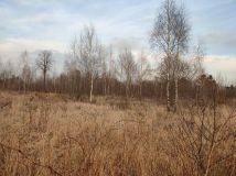 Działka siedliskowa Białystok Dojlidy Górne, ul. Liniowa. Zdjęcie 1