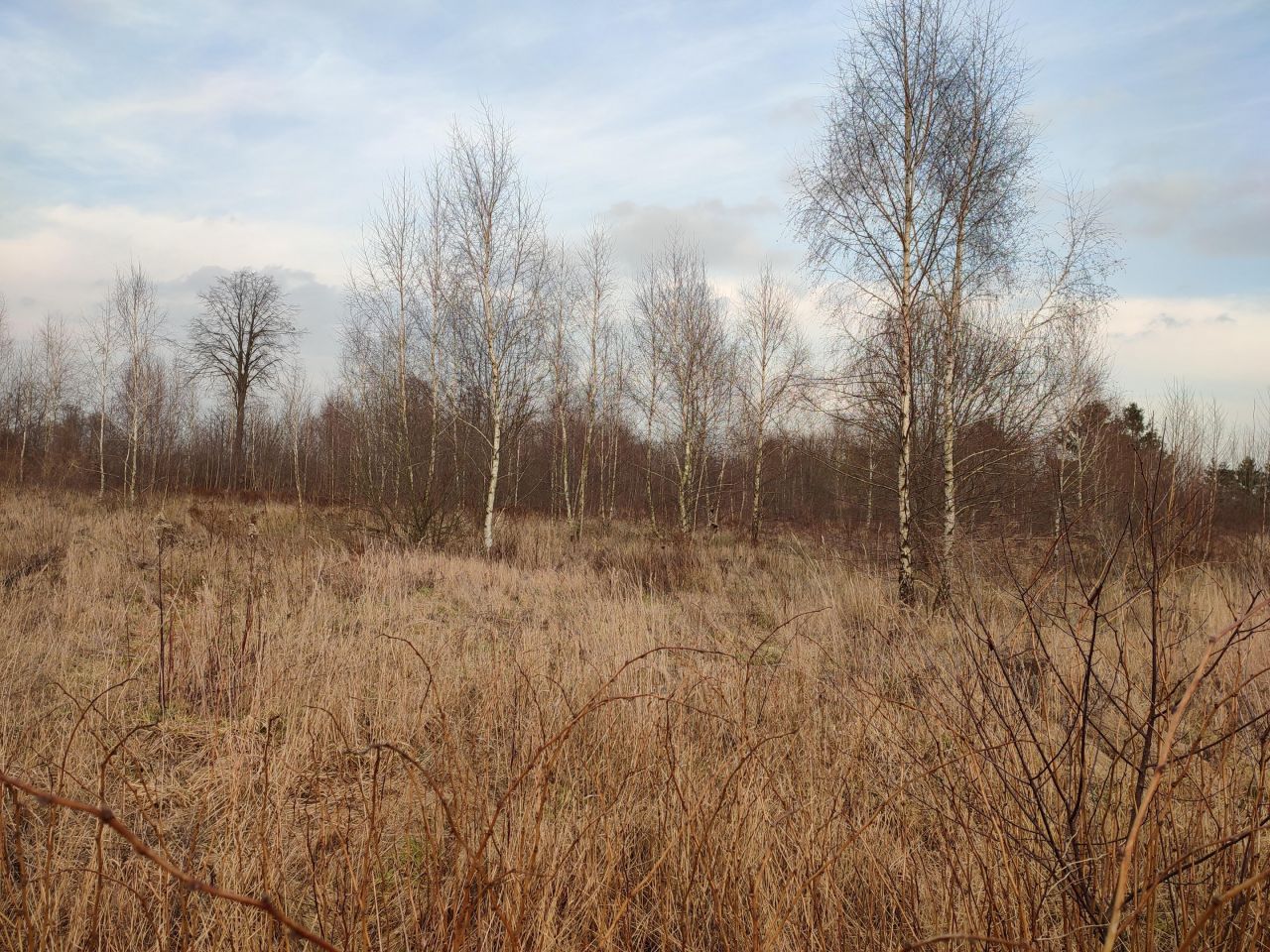 Działka siedliskowa Białystok Dojlidy Górne, ul. Liniowa. Zdjęcie 2