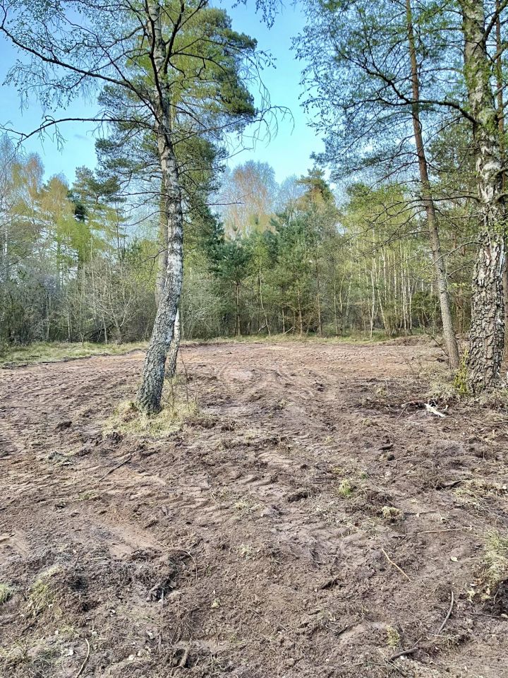 Działka leśna Chłapowo, ul. Władysławowska. Zdjęcie 2