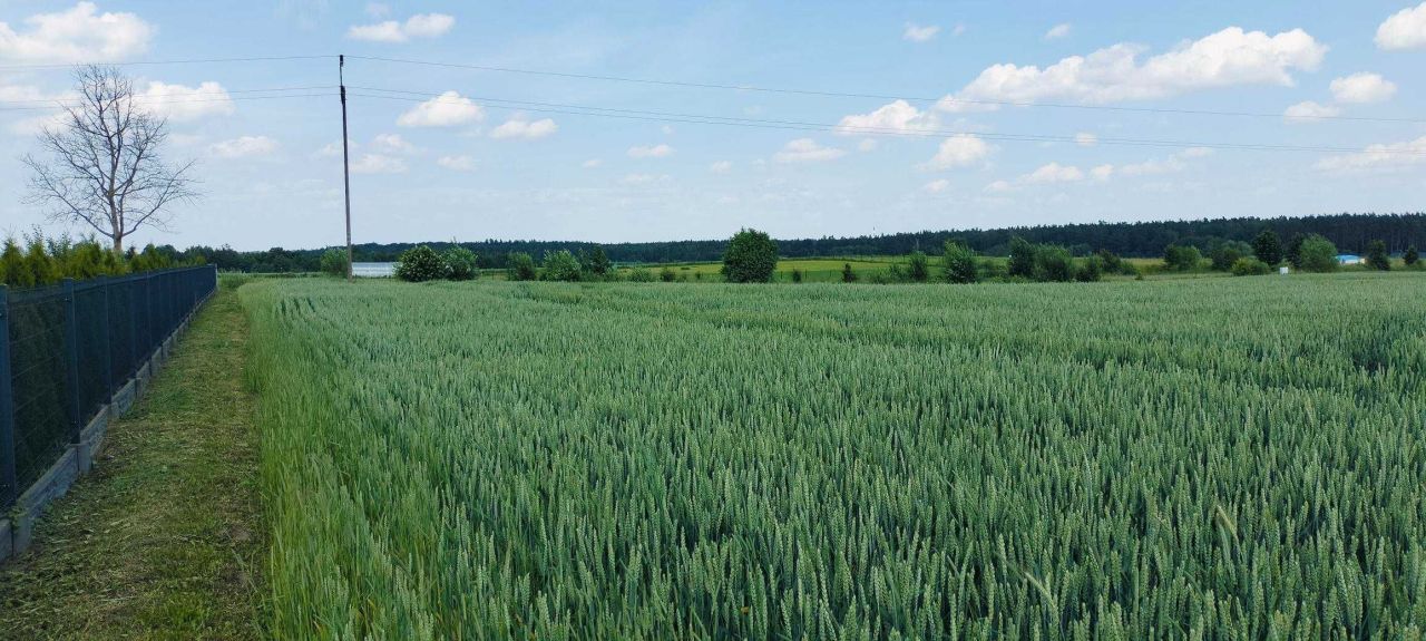 Działka rolna Radomek. Zdjęcie 8