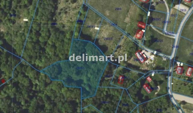 Działka leśna Górki. Zdjęcie 1