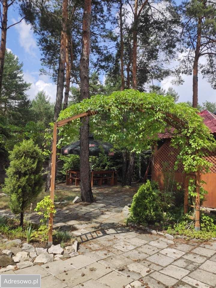 Lokal Majdan Sopocki Drugi. Zdjęcie 3