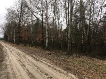 Działka leśna Motyl Żelazna. Zdjęcie 3