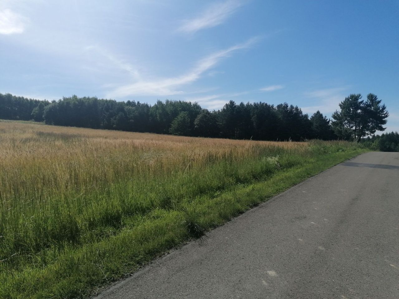 Działka rolna Załazki. Zdjęcie 3