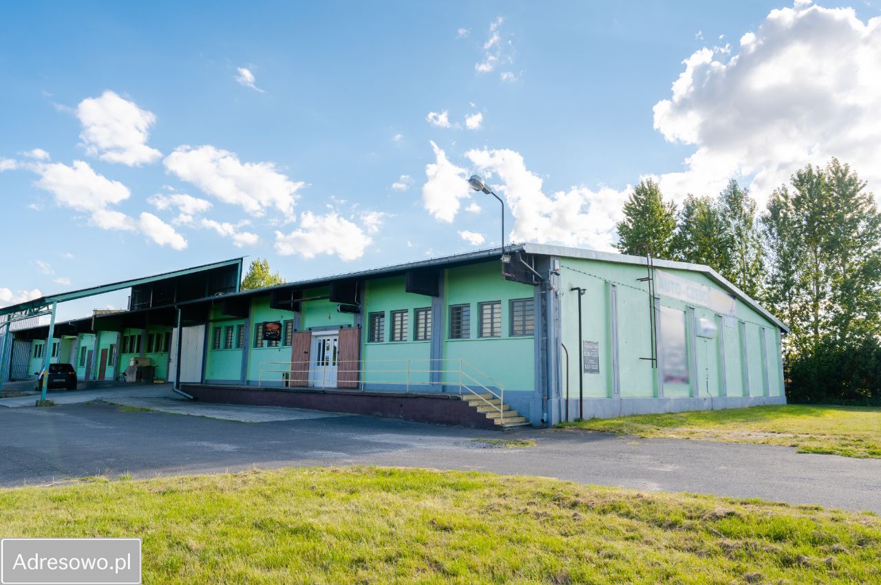 Hala/magazyn Wilczogóra