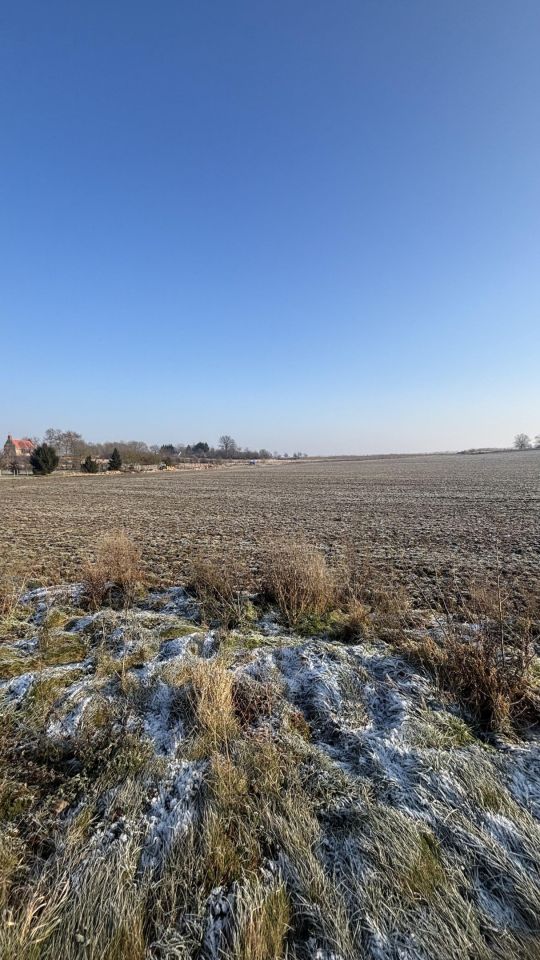 Działka budowlana Dołgie. Zdjęcie 2