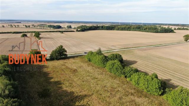 Działka rolna Kopnica. Zdjęcie 14