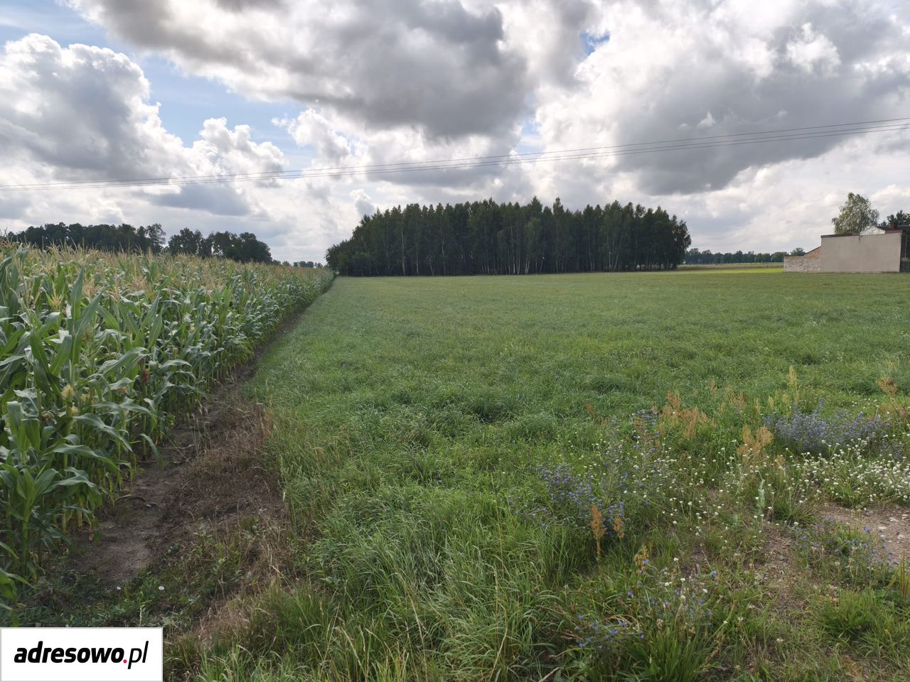 Działka budowlana Makowica. Zdjęcie 7