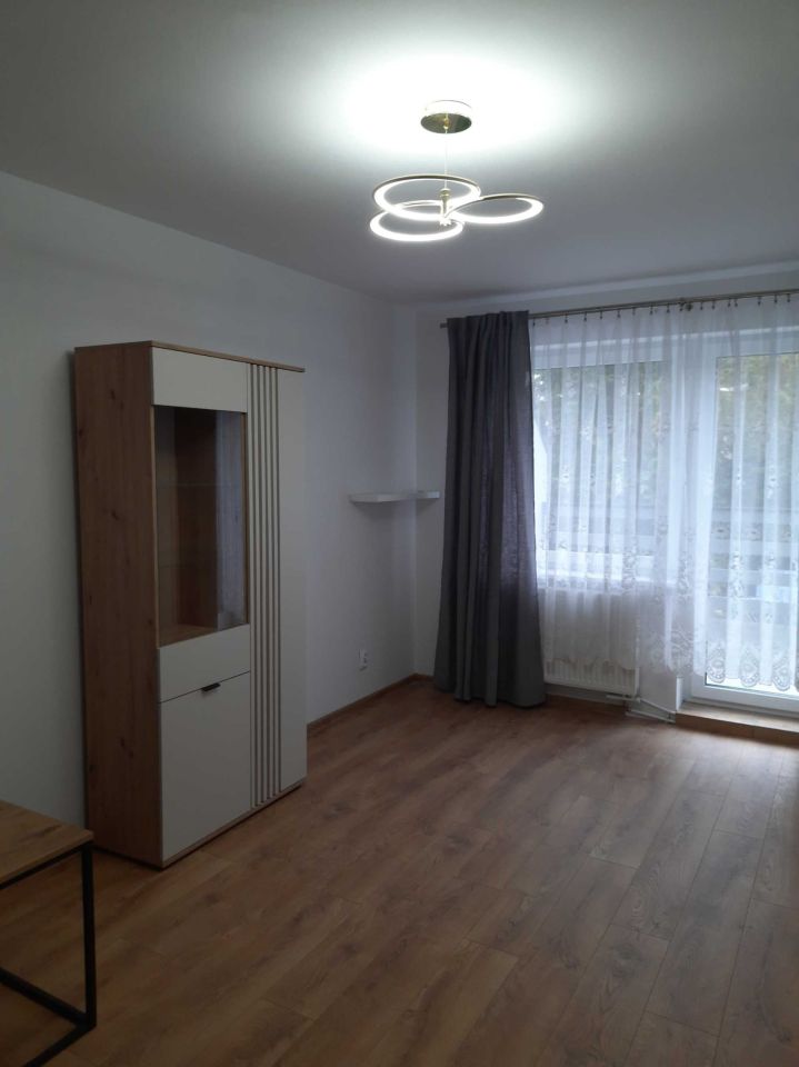 Mieszkanie 2-pokojowe Poznań Wilczy Młyn. Zdjęcie 4