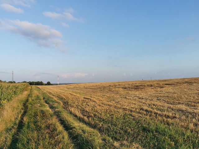 Działka inna Jastrowie. Zdjęcie 14