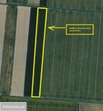 Działka rolna Pacierzów. Zdjęcie 1