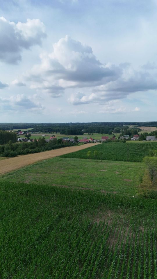 Działka rolna Chraboły. Zdjęcie 3