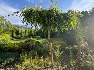 dom wolnostojący, 4 pokoje Bielsko-Biała Lipnik, Władysława Kiernika. Zdjęcie 234