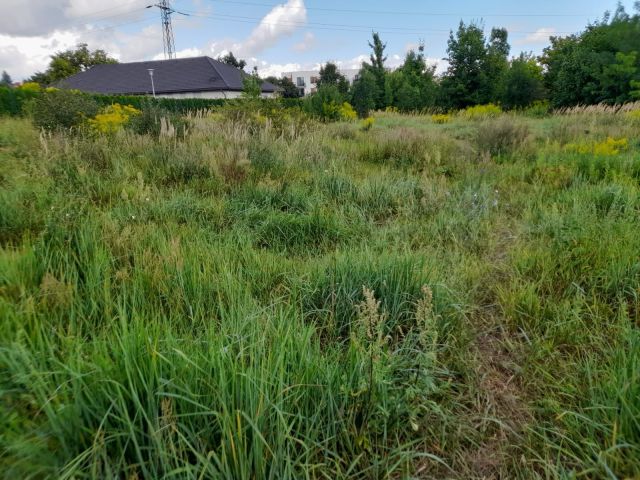 Działka inwestycyjna Grudziądz, ul. Cegielniana. Zdjęcie 1