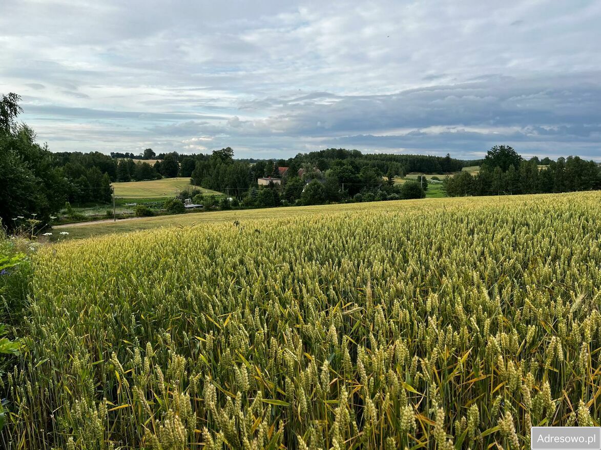 Działka rolna Wilkiejmy. Zdjęcie 8