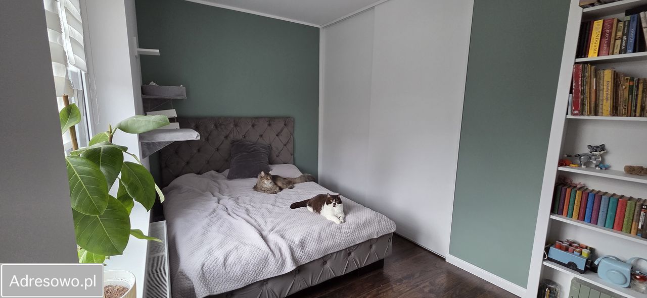 Mieszkanie 2-pokojowe Mikołów. Zdjęcie 19