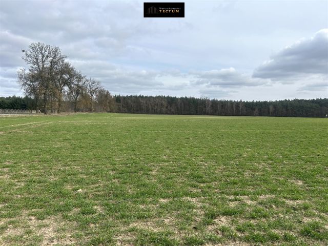 Działka budowlana Przysieka. Zdjęcie 5