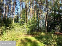 dom letniskowy, 2 pokoje Korytnica. Zdjęcie 2