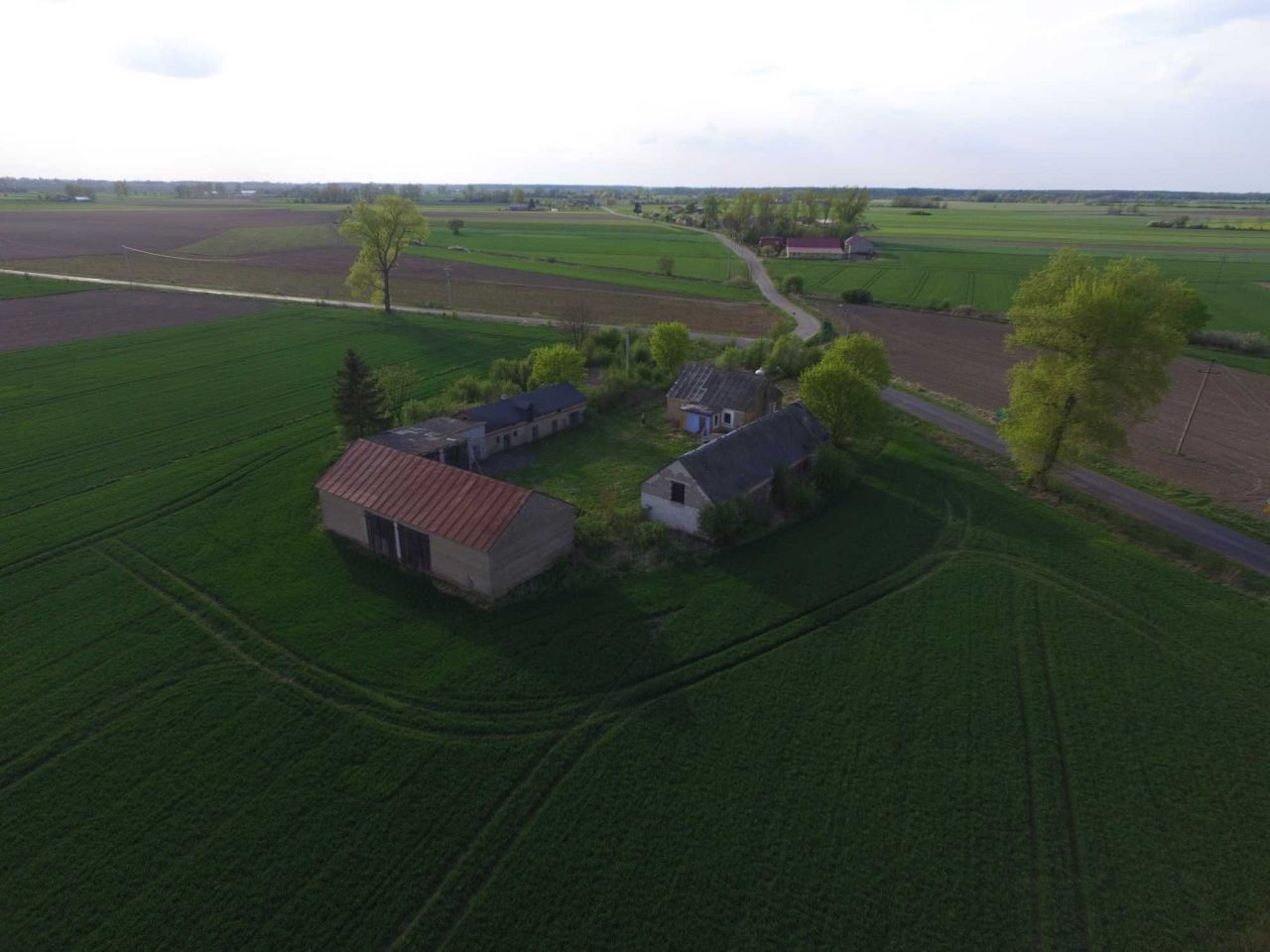 Działka siedliskowa Jagiełłów. Zdjęcie 5