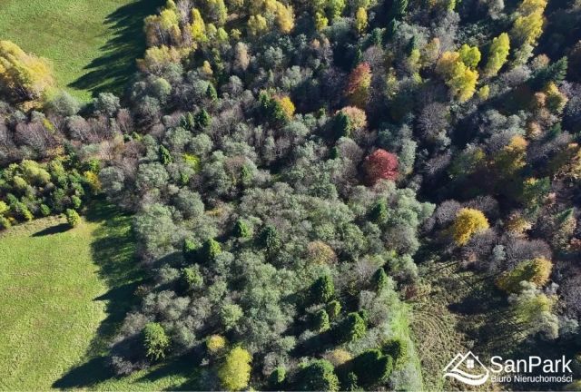 Działka rolna Krzywe. Zdjęcie 8