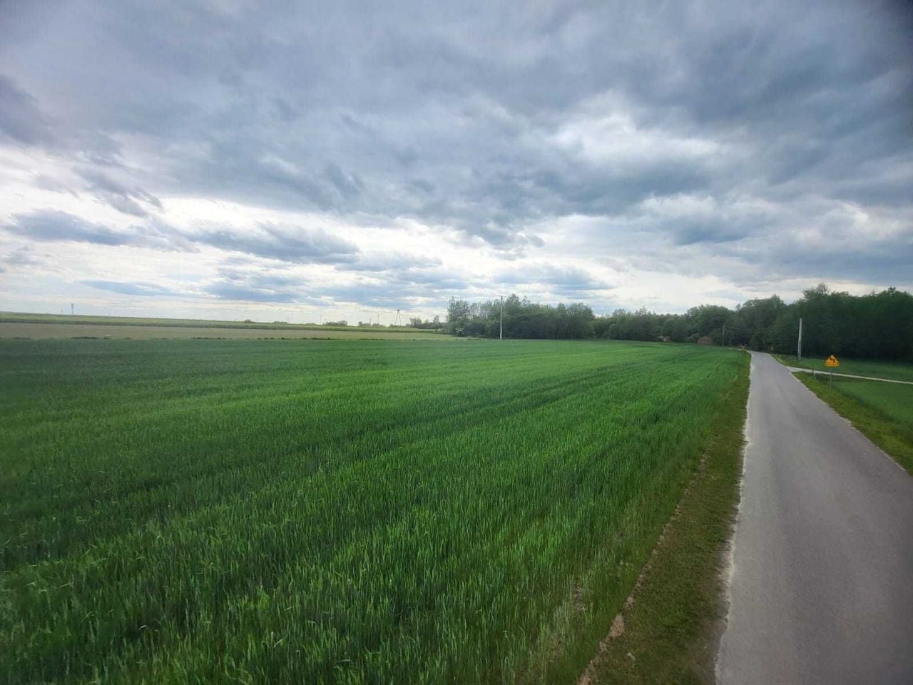 Działka siedliskowa Maszki. Zdjęcie 5