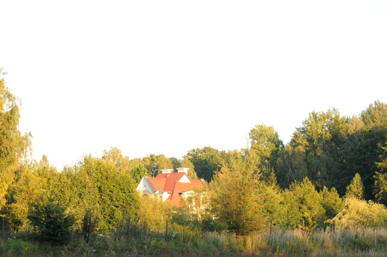 Działka siedliskowa Grzegorzewice, ul. Pałacowa. Zdjęcie 17