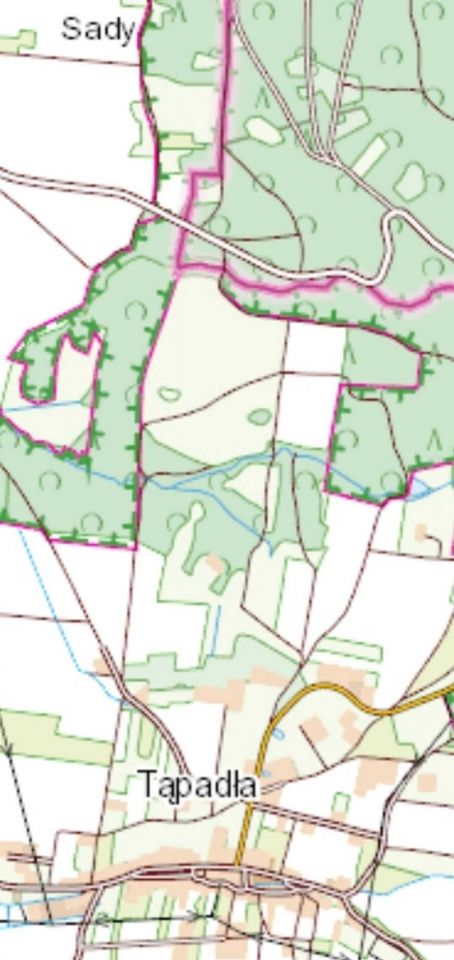 Działka rolna Tąpadła. Zdjęcie 2