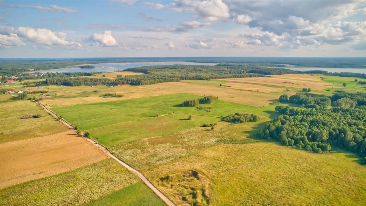 Działka rekreacyjna Zdory. Zdjęcie 13