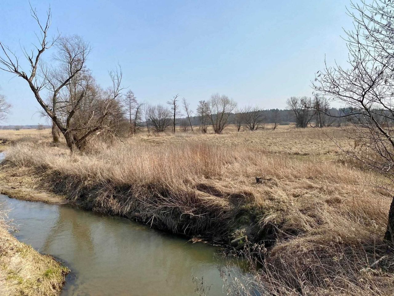 Działka rolna Duchnów. Zdjęcie 2