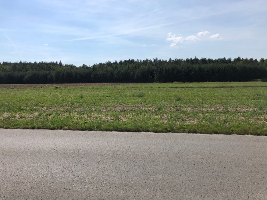 Działka budowlana Borowa Wielki Koniec. Zdjęcie 3