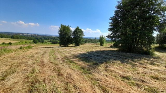 Działka rolno-budowlana Rzeszów Bzianka. Zdjęcie 1