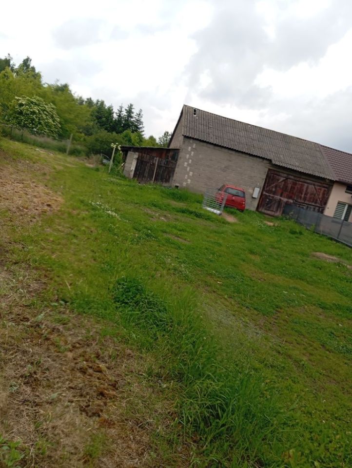 Działka rolno-budowlana Kotarwice. Zdjęcie 3