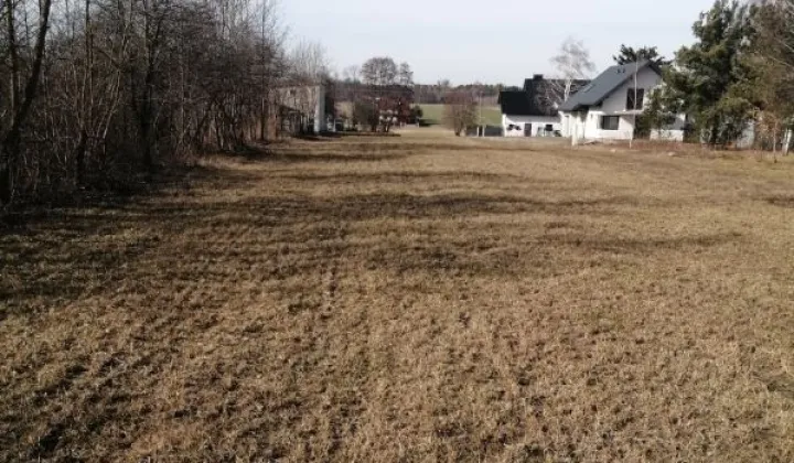 Działka rolno-budowlana Sobolew