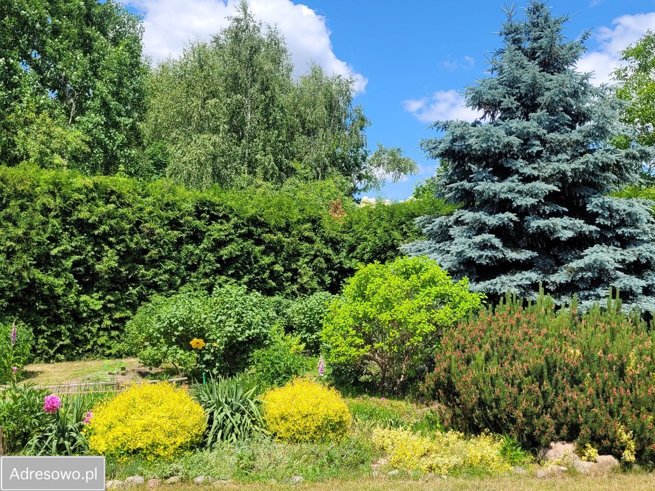 dom wolnostojący, 5 pokoi Ostrów Mazowiecka, ul. Poziomkowa. Zdjęcie 10