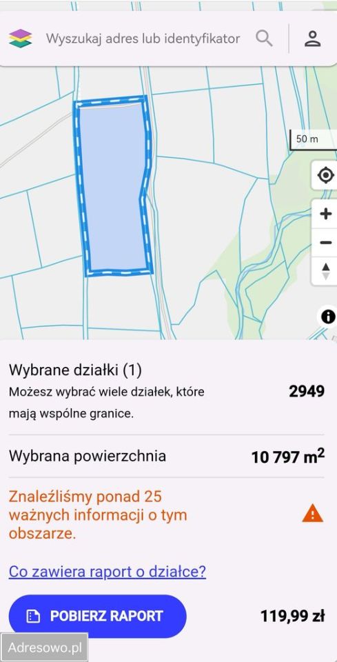 Działka rolna Lubomierz. Zdjęcie 3