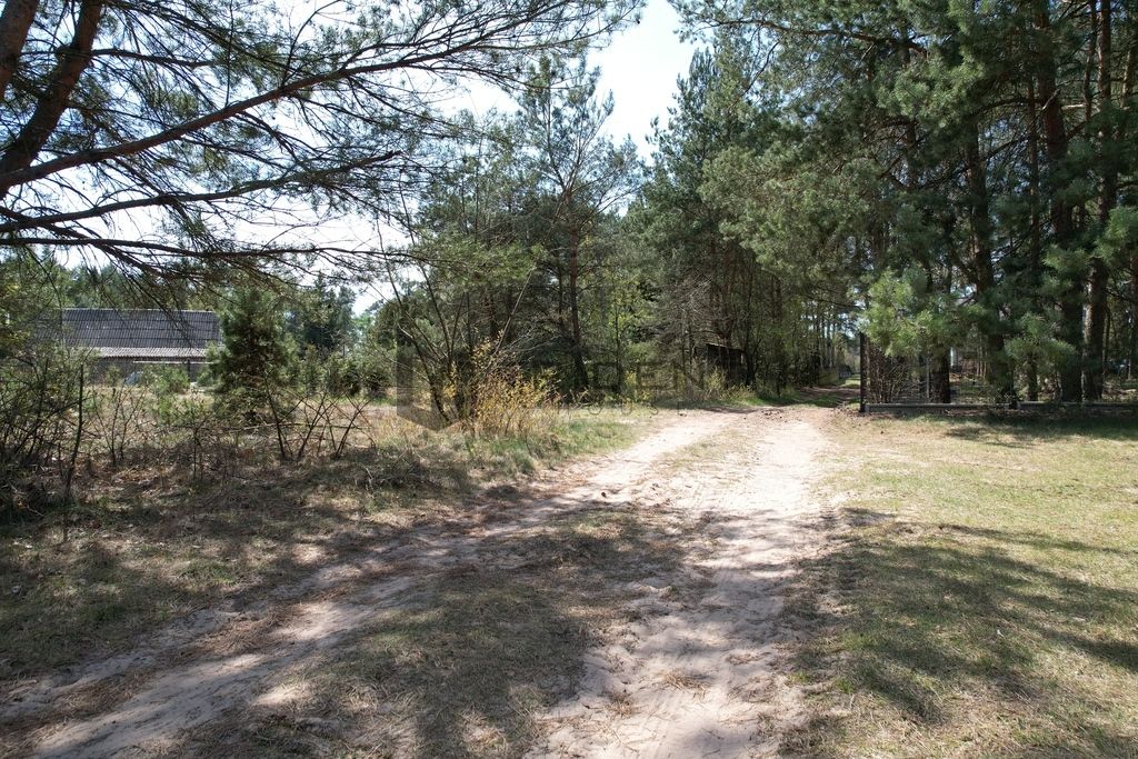 Działka rekreacyjna Dzbądzek. Zdjęcie 24