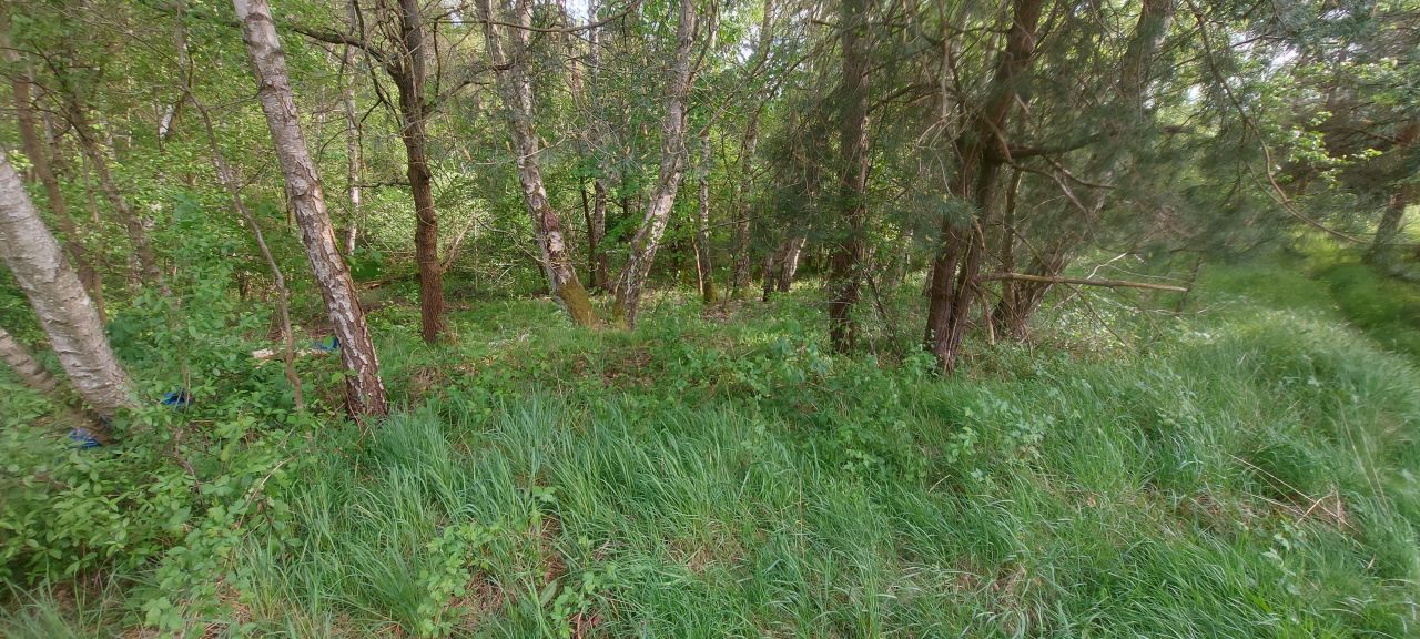 Działka budowlana Kaźmierzów. Zdjęcie 4