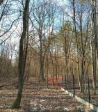 Działka budowlana Jeziora. Zdjęcie 4