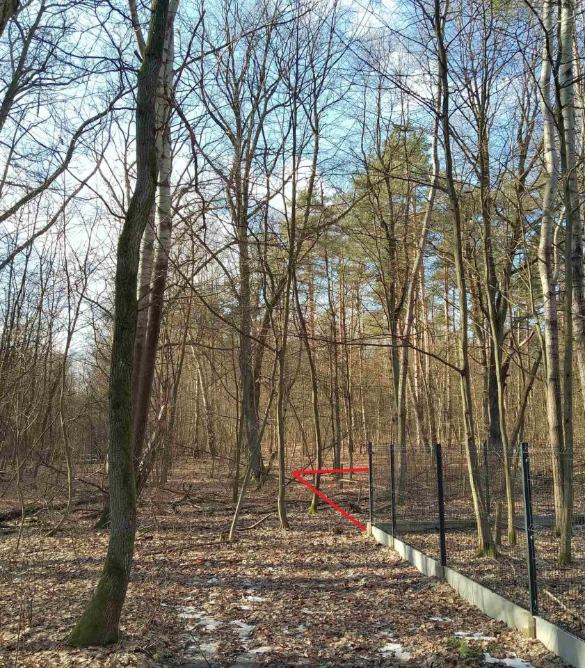 Działka budowlana Jeziora. Zdjęcie 5