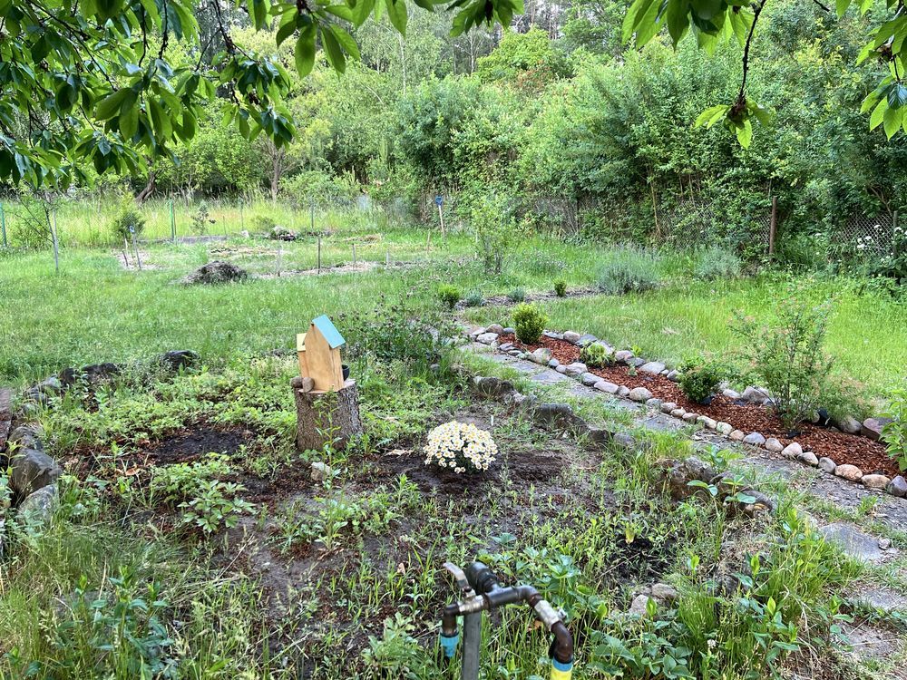 Działka rod Wilkanowo, ul. Szkolna. Zdjęcie 7