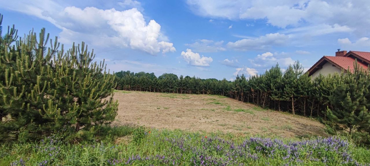 Działka budowlana Grzebienisko. Zdjęcie 3