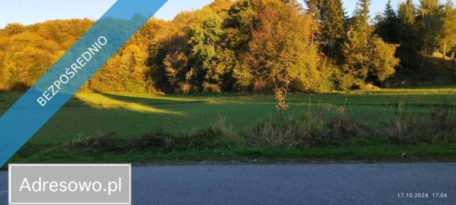 Działka rolno-budowlana Szymbark. Zdjęcie 1