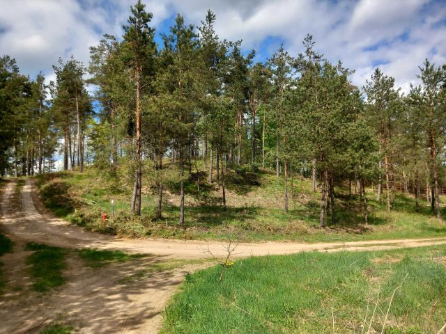 Działka rekreacyjna Żukówko. Zdjęcie 1